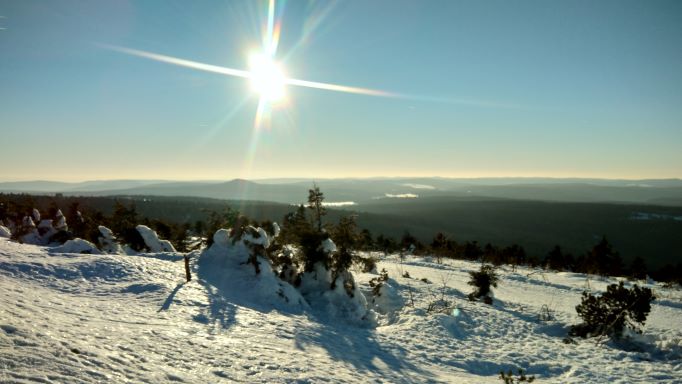 PRAXISÖFFNUNGSZEITEN in den Winterferien 2026